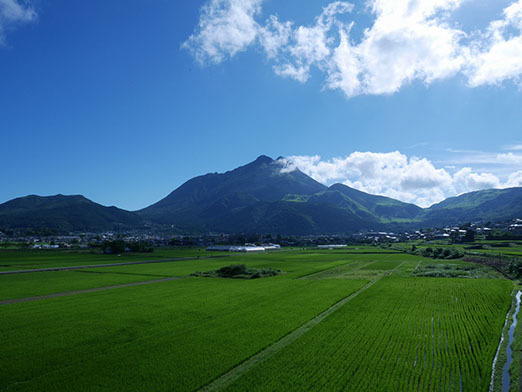 富士山静岡空港 北九州ツアー 小倉 大分 別府 湯布院 富士山静岡空港発着ツアー専門サイト 沖縄 札幌 福岡等