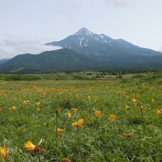 静岡空港発北海道離島ツアー 富士山静岡空港発着ツアー専門サイト 沖縄 札幌 福岡等 静岡空港発北海道離島ツアー 富士山静岡空港発着ツアー専門サイト 沖縄 札幌 福岡等