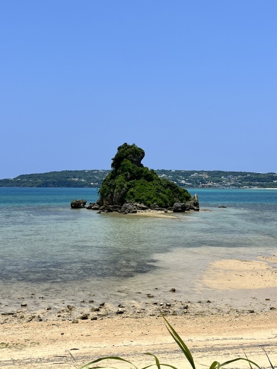 お客さまの声 富士山静岡空港発着ツアー専門サイト 沖縄 札幌 福岡等